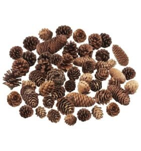 Jangostor 40 PCS Pine Cones Decorations, Natural Pine Cones Bulk Package