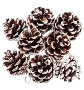 Whaline 25Pcs Christmas Natural Pine Cones Bulk Rustic Snow Pinecones with String Pine Cone Pendant